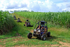 La Romana (Casa de Campo) Dune Buggy Tour
